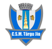 CSM Tg Jiu -F