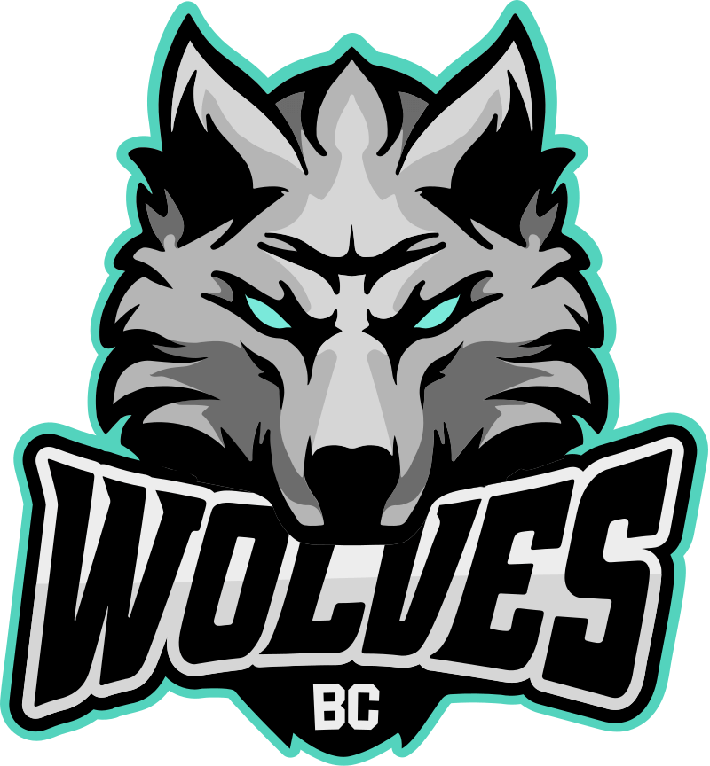 Imagine BC Wolves Baschet